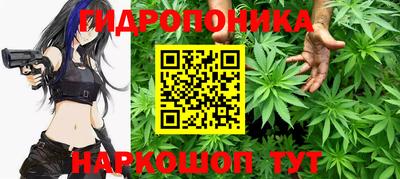 Альфа ПВП Краснознаменск