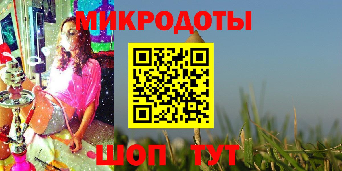 Псилоцибиновые грибы Psilocybe Ртищево