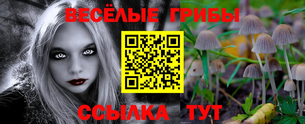 Галлюциногенные грибы MAGIC MUSHROOMS  Вход с VPN  Ртищево 